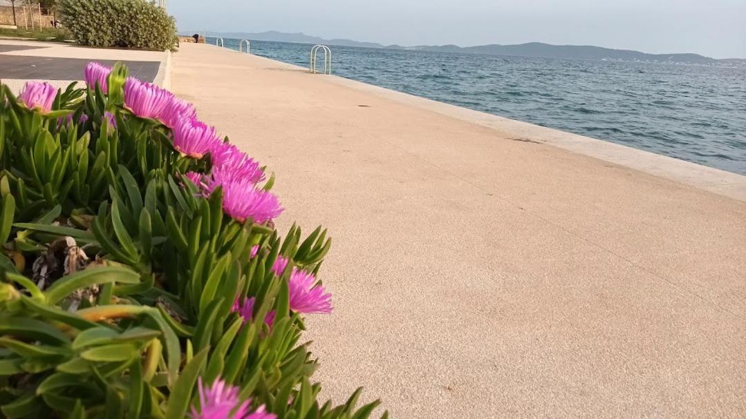 Apartman Sandra -Private Parking And Garden Zára Kültér fotó